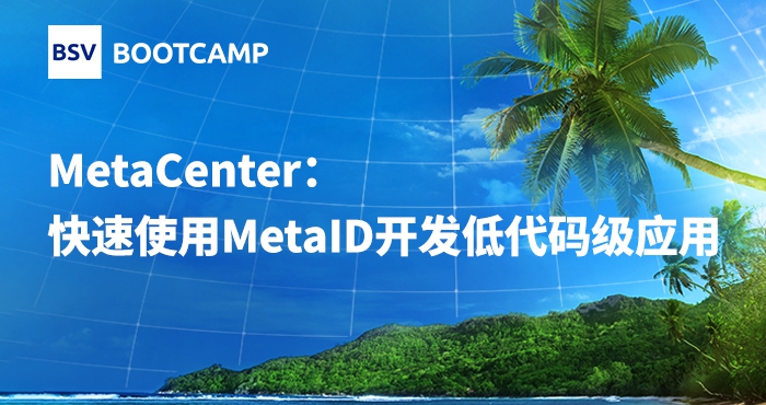 MetaCenter：快速使用MetaID开发低代码级应用｜...